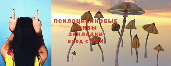 тгк Абдулино