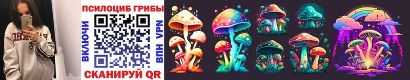 продажа наркотиков  Гагарин  KRAKEN маркетплейс  Псилоцибиновые грибы Cubensis 