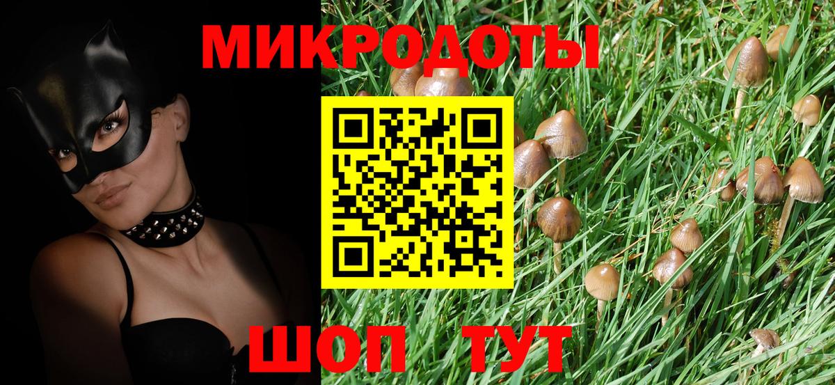 Псилоцибиновые грибы GOLDEN TEACHER Гагарин