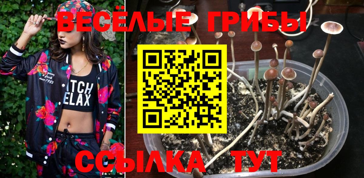 Псилоцибиновые грибы GOLDEN TEACHER  Псилоцибиновые грибы ЛСД  наркошоп  Гагарин  Вход с VPN 